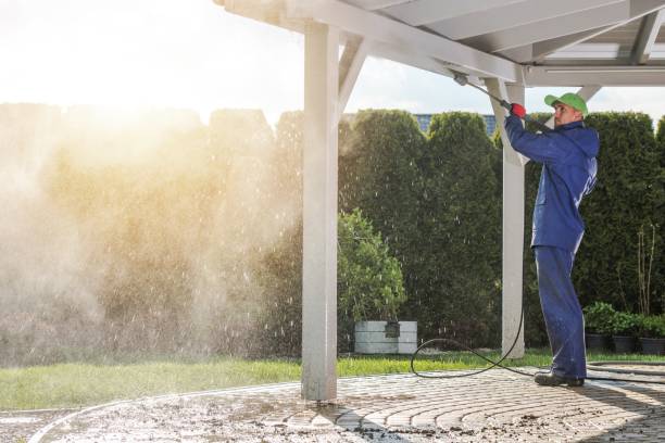 Best Gas Station Cleaning  in Ortonville, MI