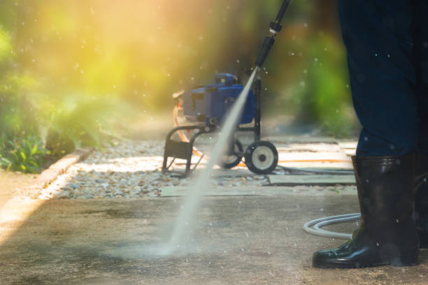 Best Roof Washing  in Ortonville, MI